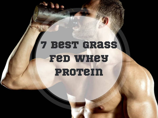 7 Best Grass Fed Whey Protein in 2025