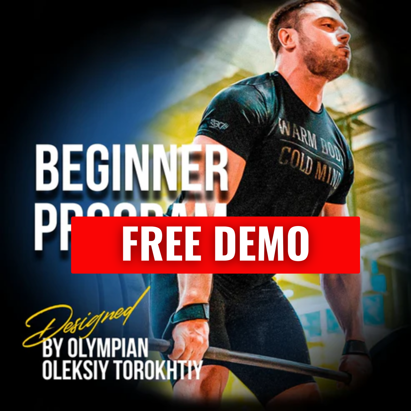 PROGRAM FOR BEGINNERS (DEMO)