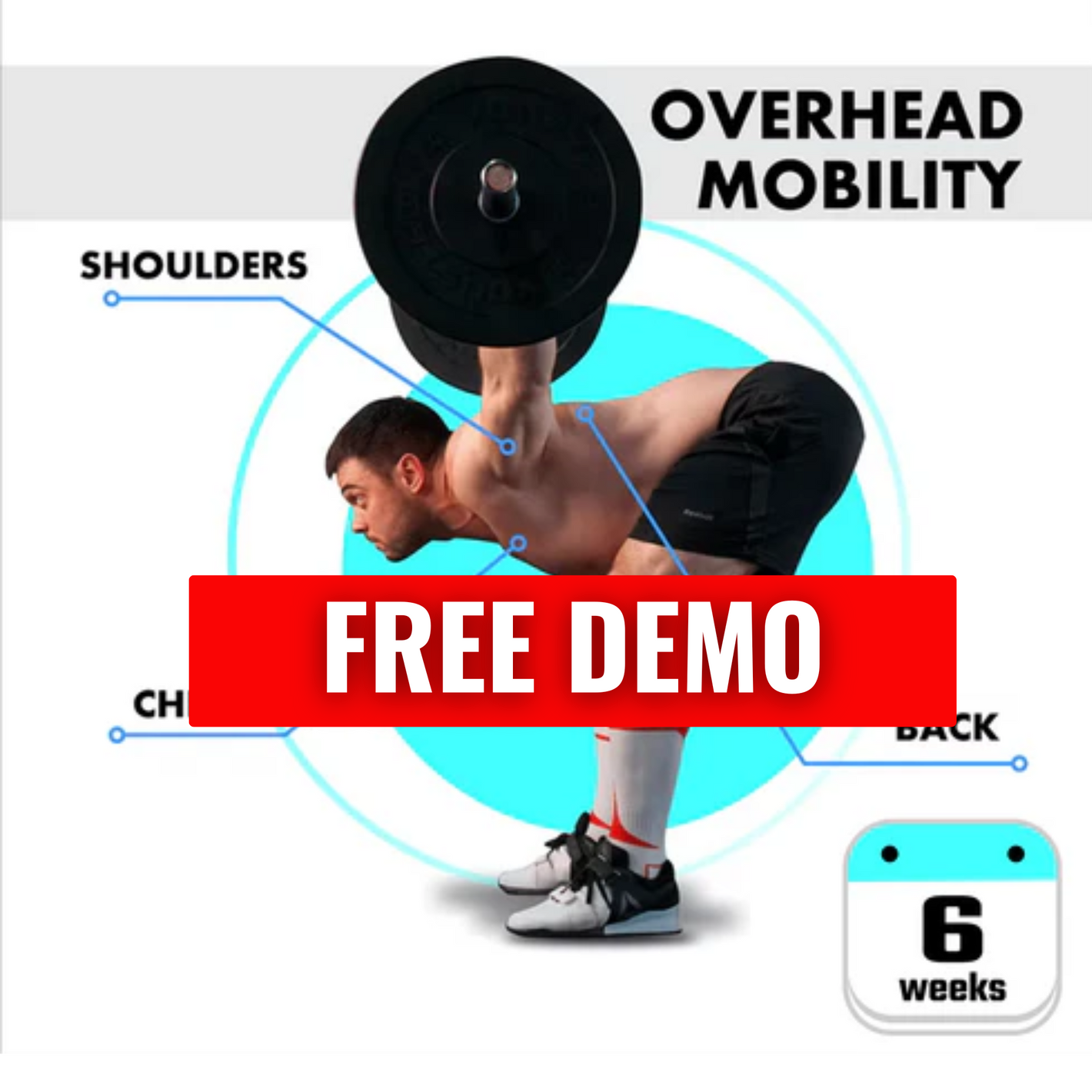 OVERHEAD MOBILITY (DEMO)