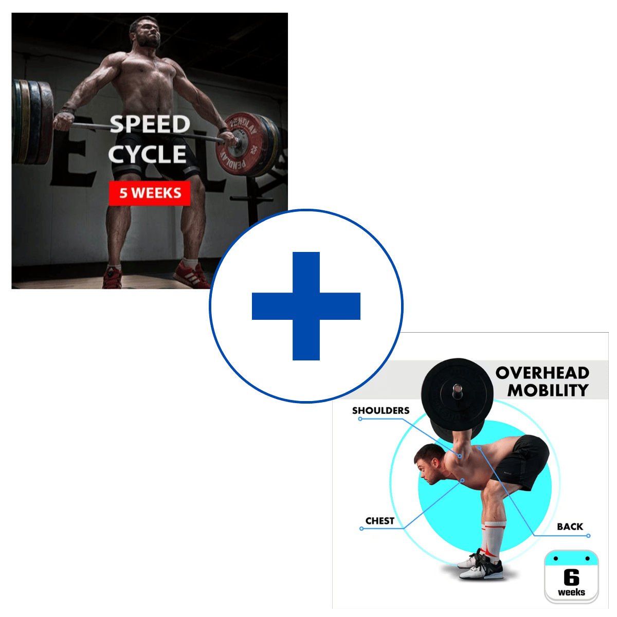 SPEED CYCLE + OVERHEAD MOBILITY