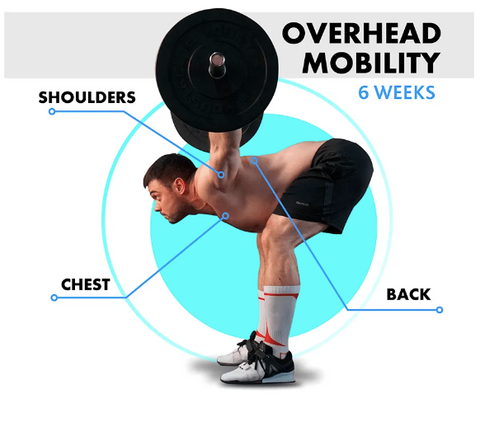 OVERHEAD MOBILITY*