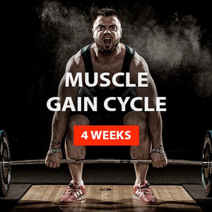 MUSCLE GAIN CYCLE